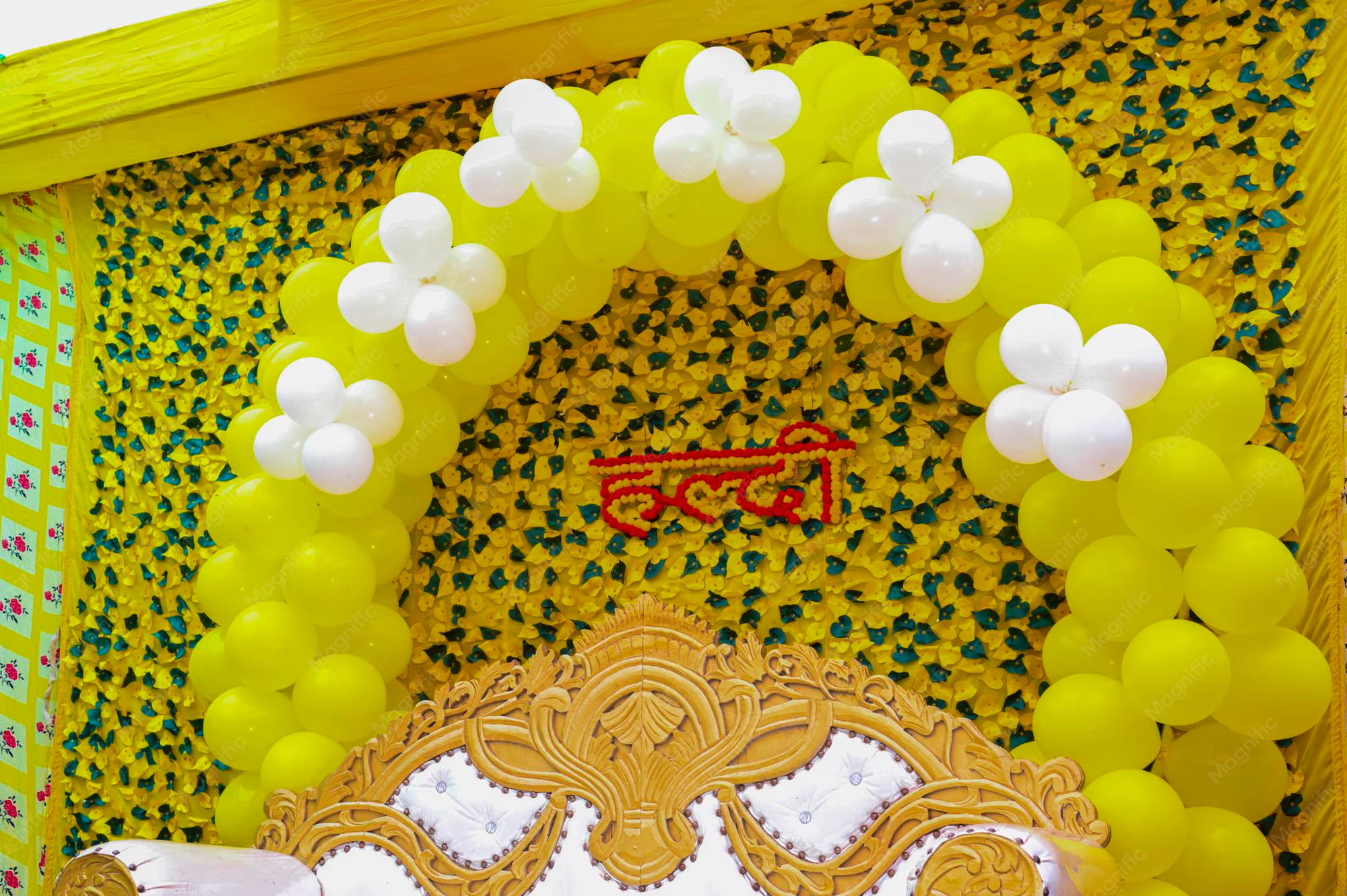 Haldi Function